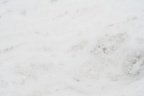 TESORO BIANCO 3CM LOT 3P639301CL 126X74